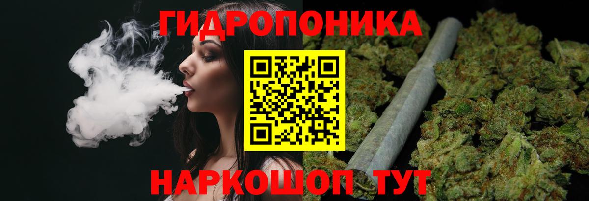 Гусев  Бошки Шишки конопля  Бошки марихуана OG Kush  Марихуана тримм  Вход с VPN 